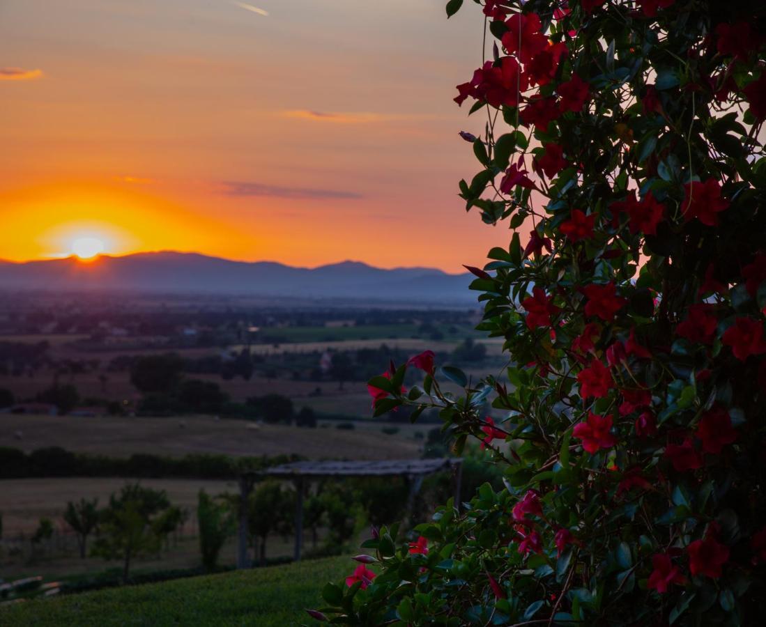 Podere N.8 Bio Casale Maremma 奥贝里塞 外观 照片